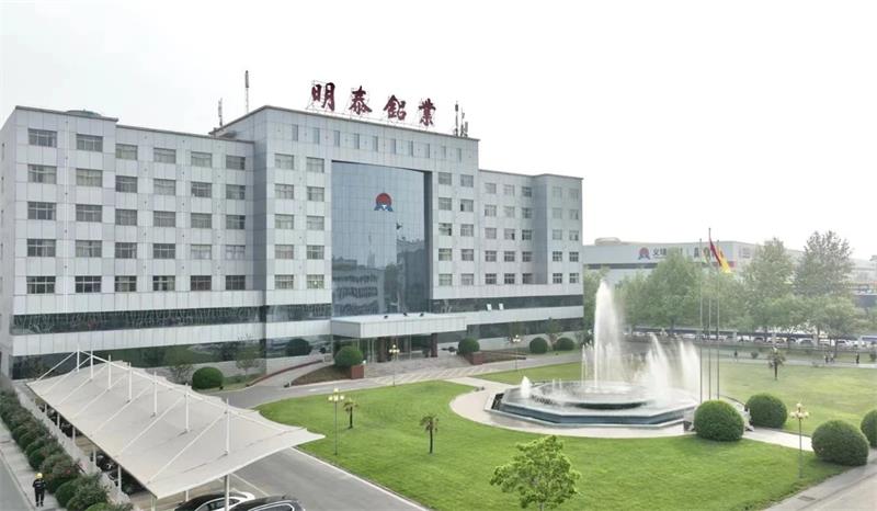 大发国际铝业首次入选中国民营企业500强