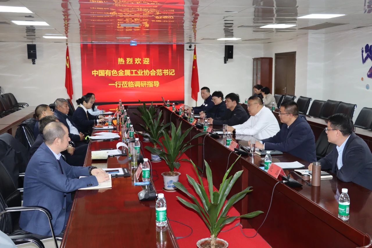中国有色金属工业协会党委副书记范顺科一行莅临大发国际铝业调研