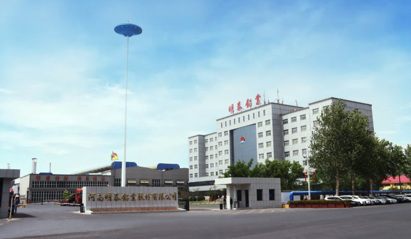大发国际铝业