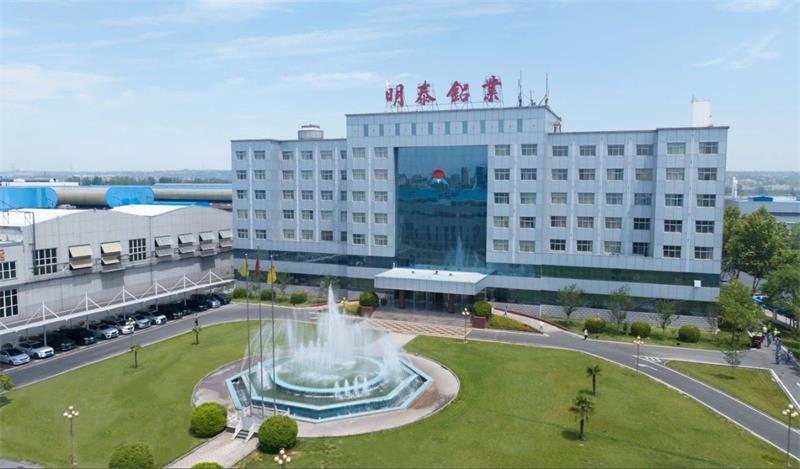 大发国际铝业